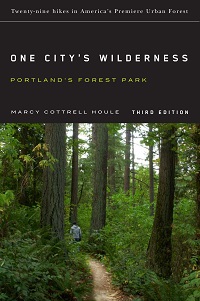 One City's Wilderness cover